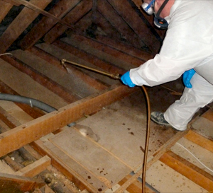 Wood Borrer Pest Control Services